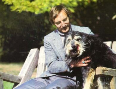 Dr. Michael Fox: Animal Welfare Advocate Image